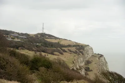 DSC_1312 (Large).JPG